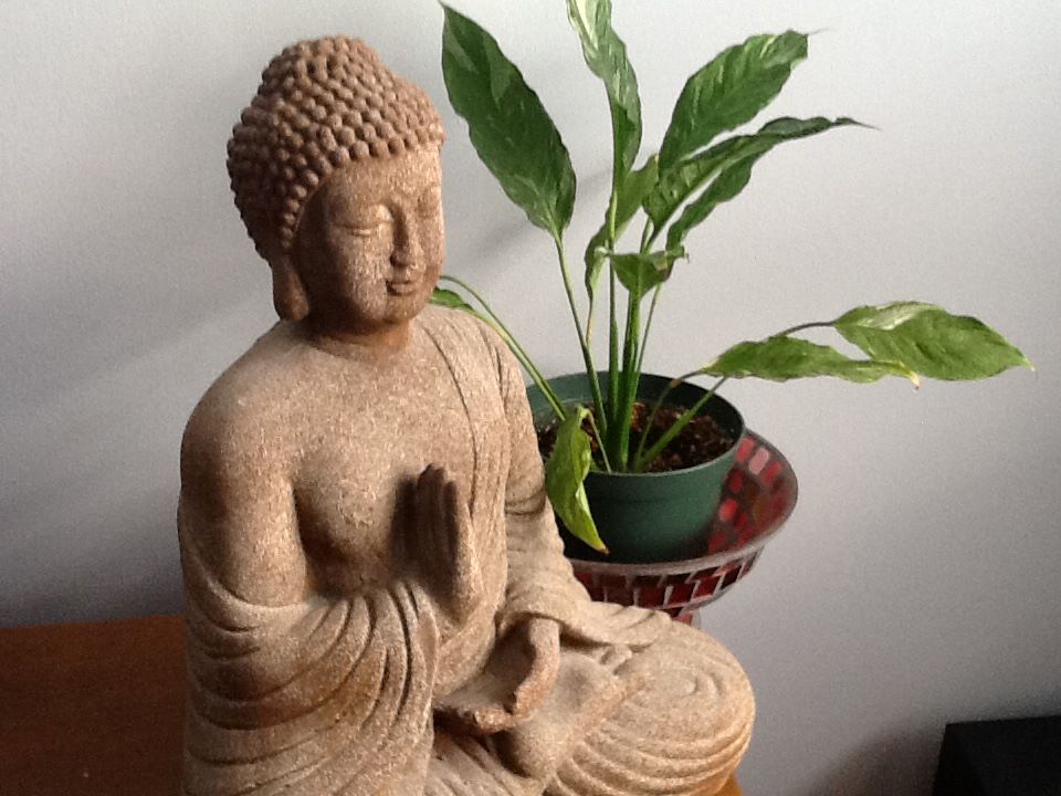 Buddha statue with a plant in the background