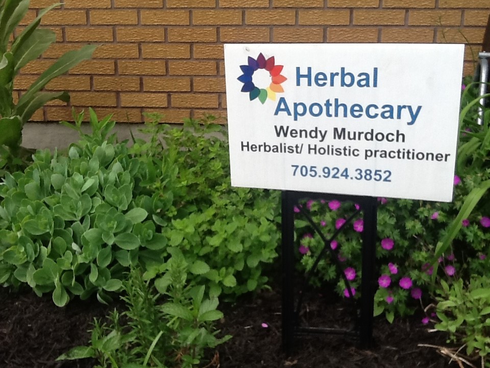 Herbal Apothecary sign sitting in the garden 