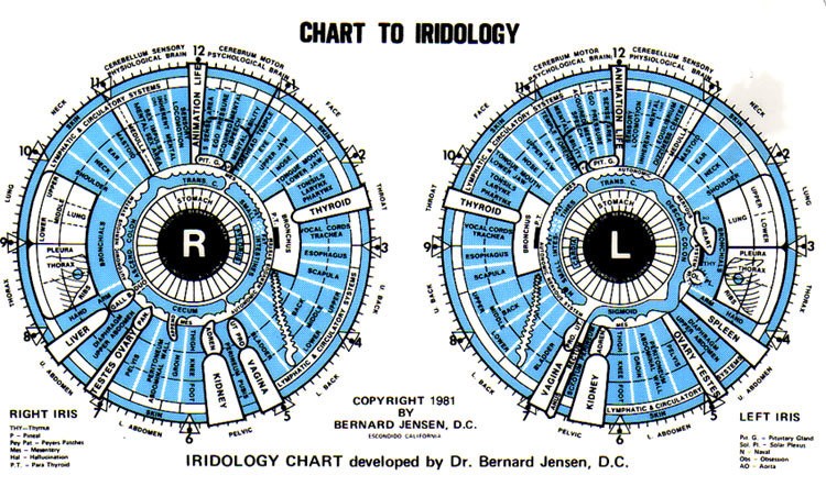 An detailed map of the eyes
