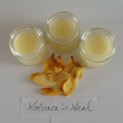 Three Solomon's Seal Salves with dried solomon's seal rhizomes