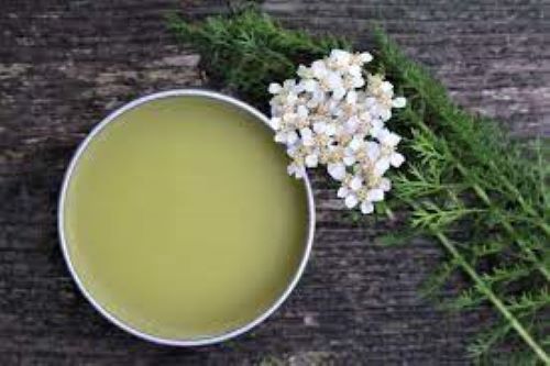 The soft yellow yarrow salve on a wooden table surrounded by the little white flowers of the yarrow plant.