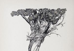 A beautiful black and white illustrated pic of a face in a hawthorn tree. itf